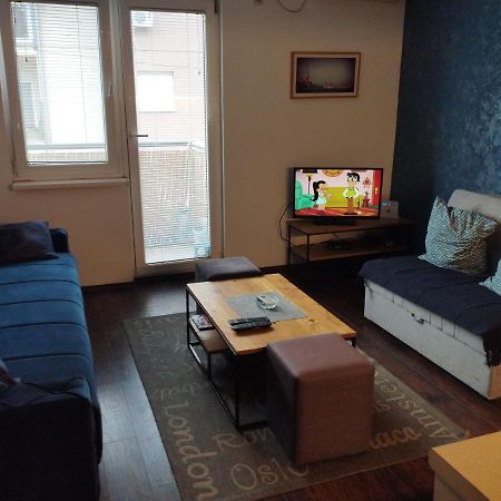 Apartman Tatjana Novi Sad Bagian luar foto