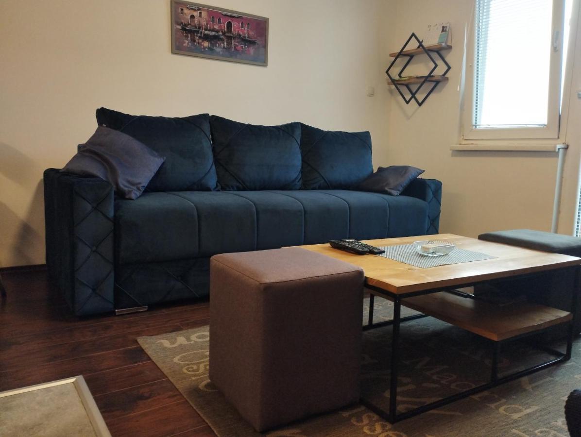 Apartman Tatjana Novi Sad Bagian luar foto