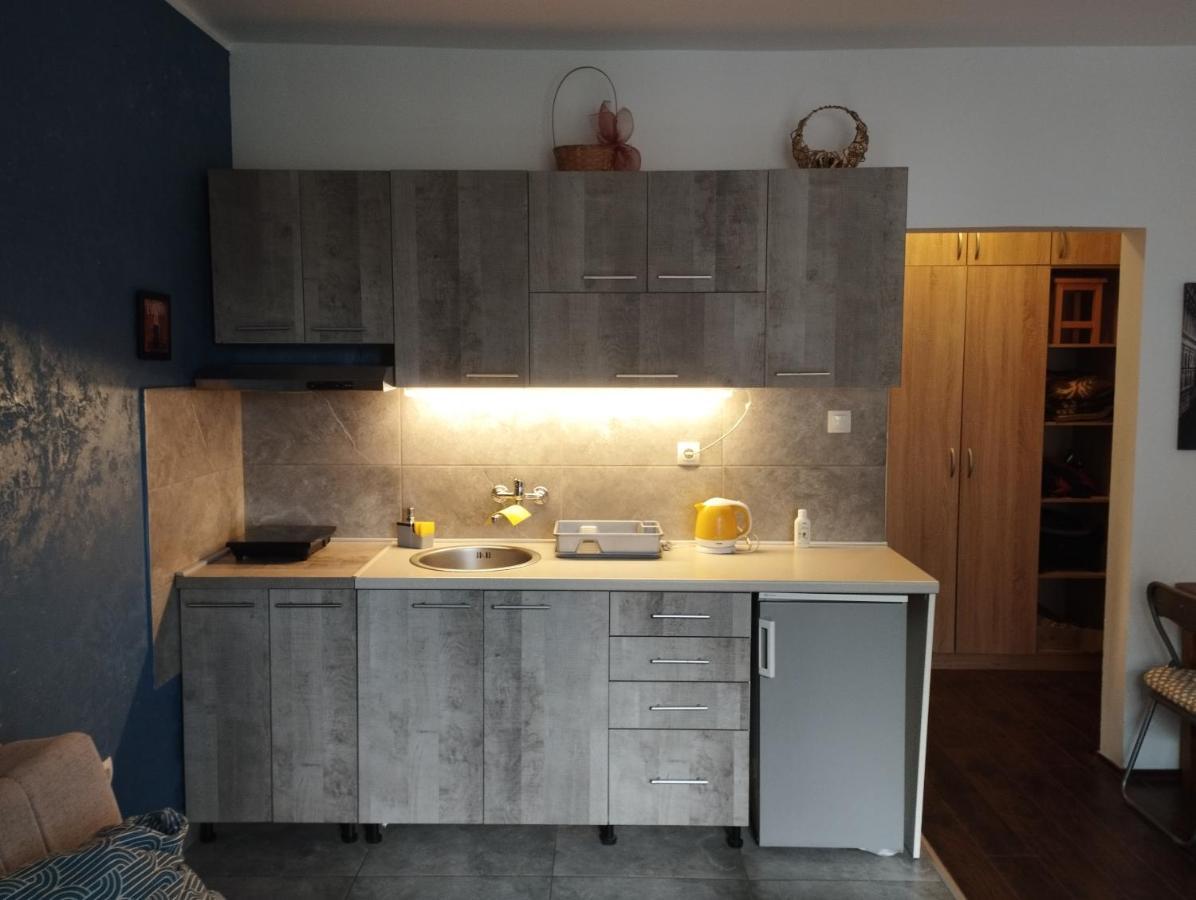 Apartman Tatjana Novi Sad Bagian luar foto