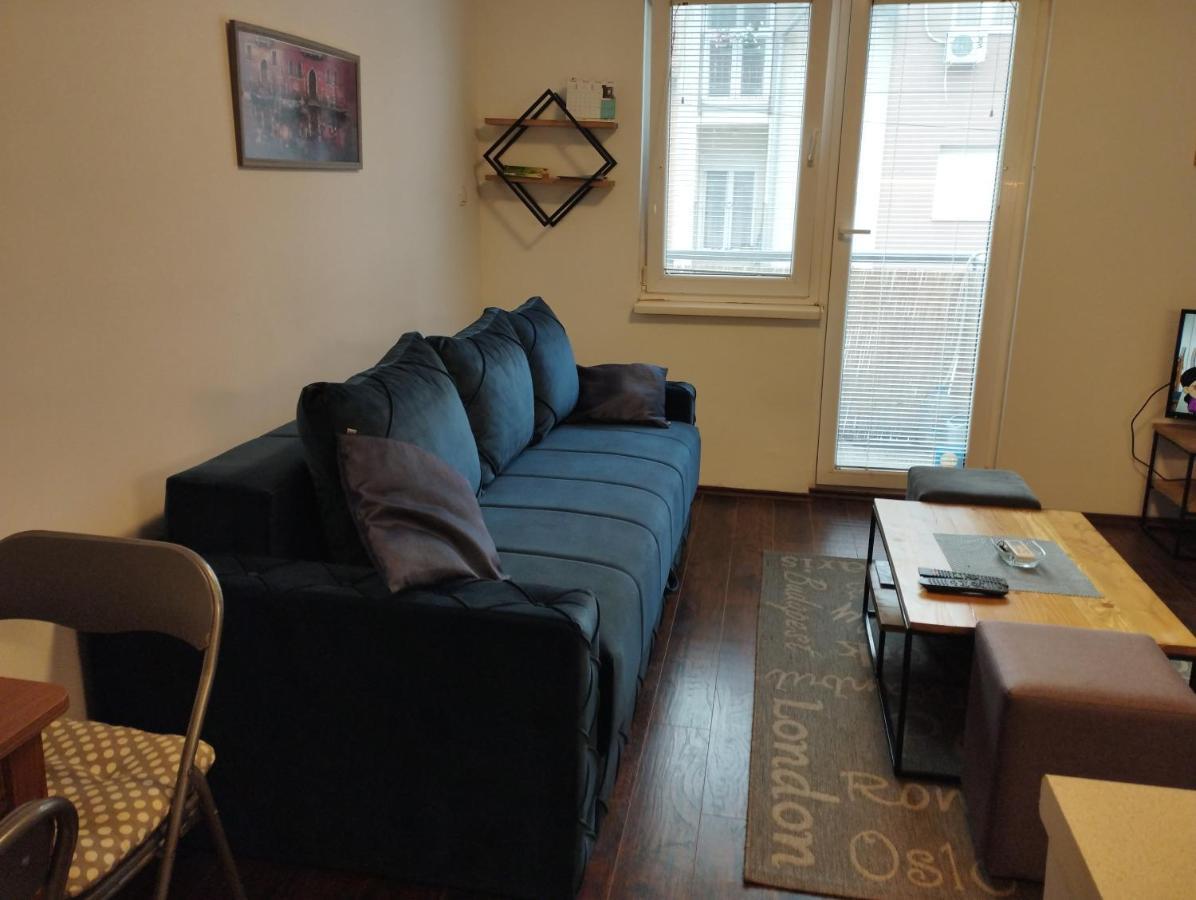 Apartman Tatjana Novi Sad Bagian luar foto