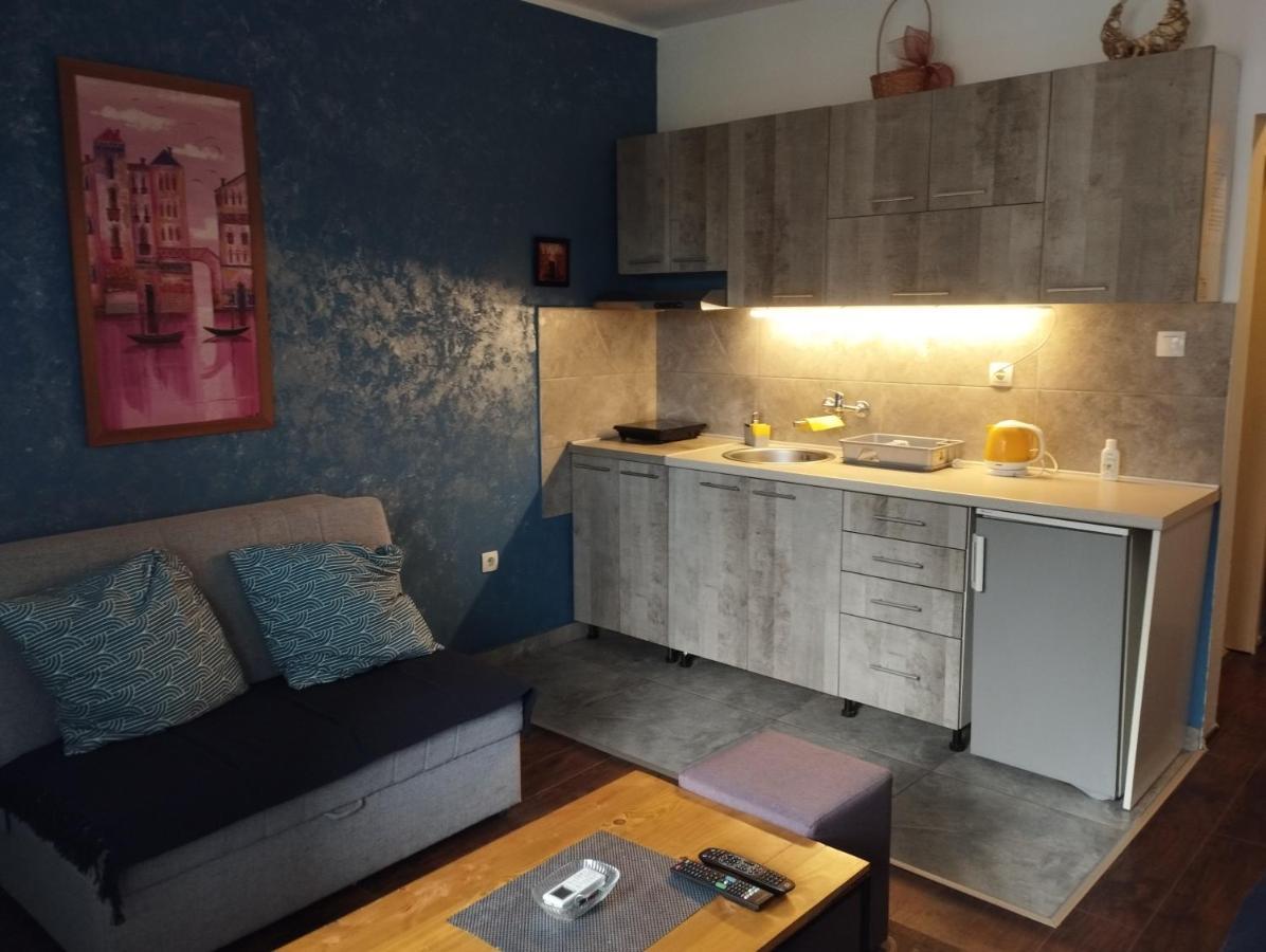 Apartman Tatjana Novi Sad Bagian luar foto
