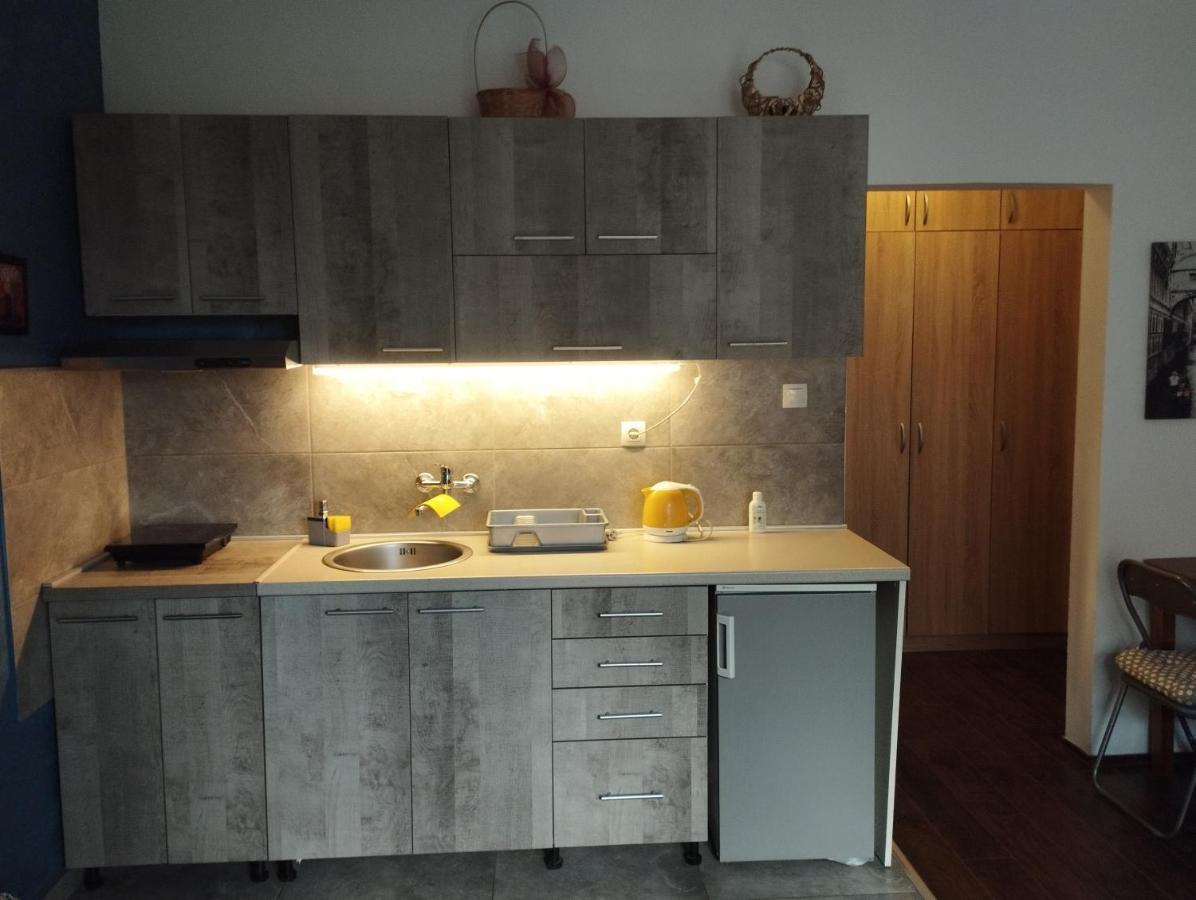 Apartman Tatjana Novi Sad Bagian luar foto