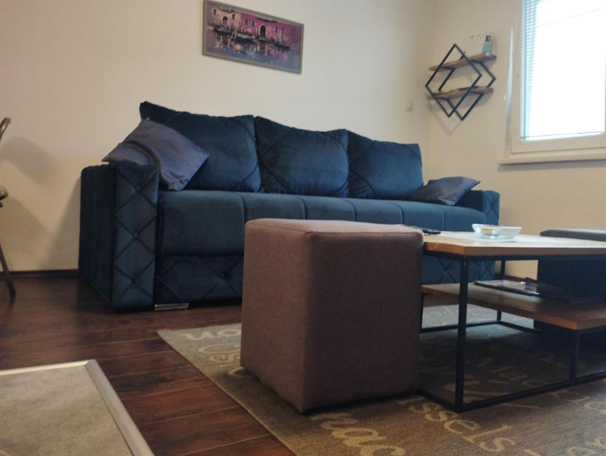 Apartman Tatjana Novi Sad Bagian luar foto