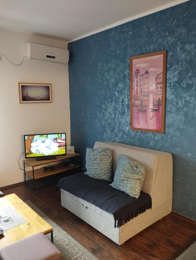 Apartman Tatjana Novi Sad Bagian luar foto