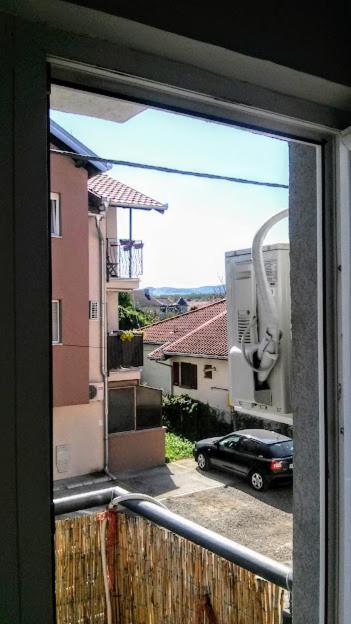 Apartman Tatjana Novi Sad Bagian luar foto