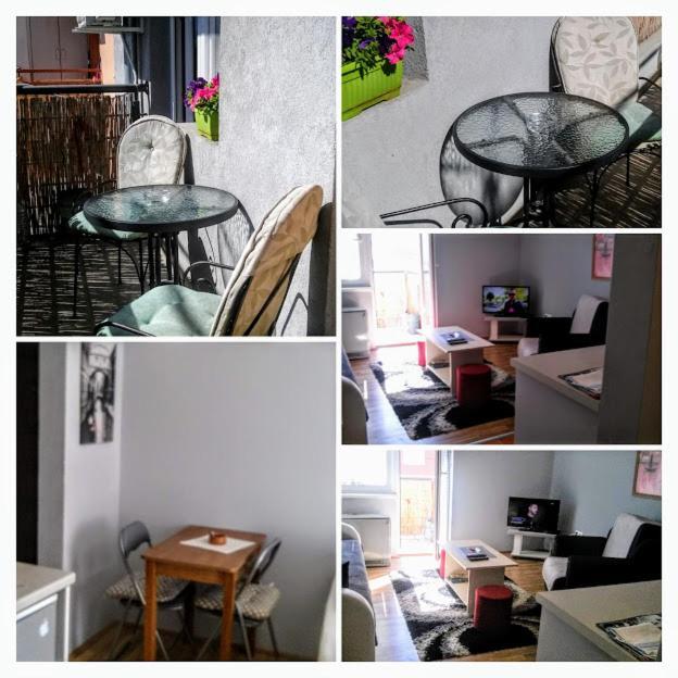 Apartman Tatjana Novi Sad Bagian luar foto